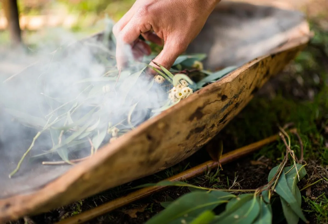 A hand placing native leaves into a smouldering bark vessel during a smoking ceremony, with smoke rising from the leaves