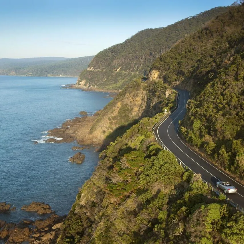 The Great Ocean Road winding along green coastal hills beside the ocean, with cars travelling the cliffside bends