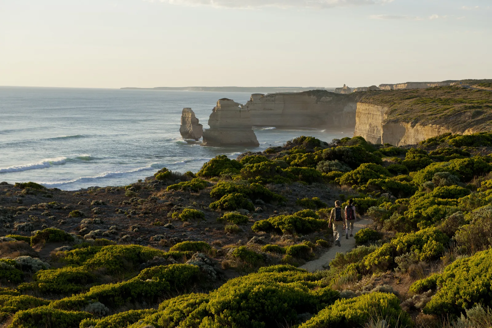 A walking track winding through coastal heathland toward limestone stacks and cliffs in soft evening light